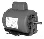 ANTI OXIDANT COMPOUND